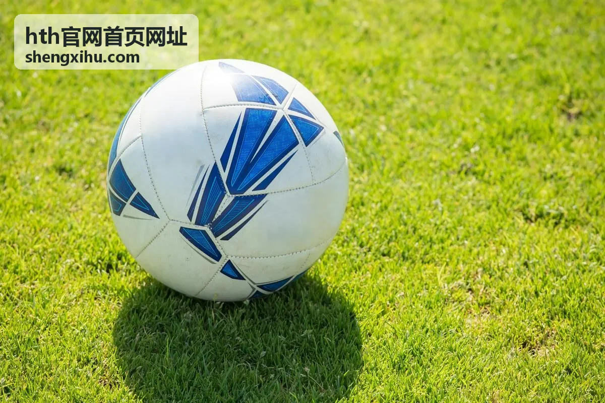 hth官网首页网址频道清单缩略图四