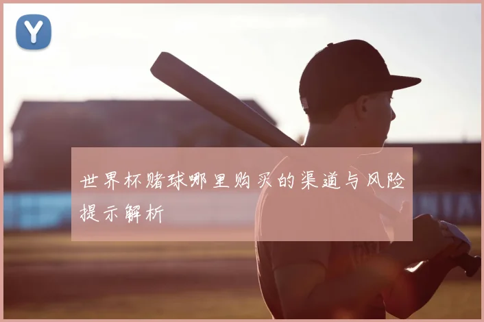 世界杯赌球哪里购买的渠道与风险提示解析