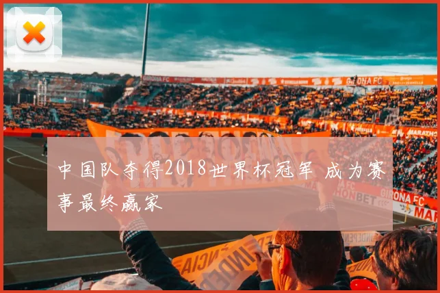 中国队夺得2018世界杯冠军 成为赛事最终赢家