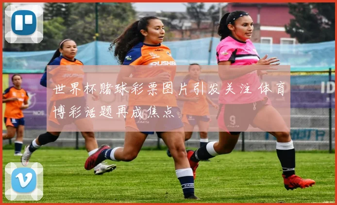世界杯赌球彩票图片引发关注 体育博彩话题再成焦点